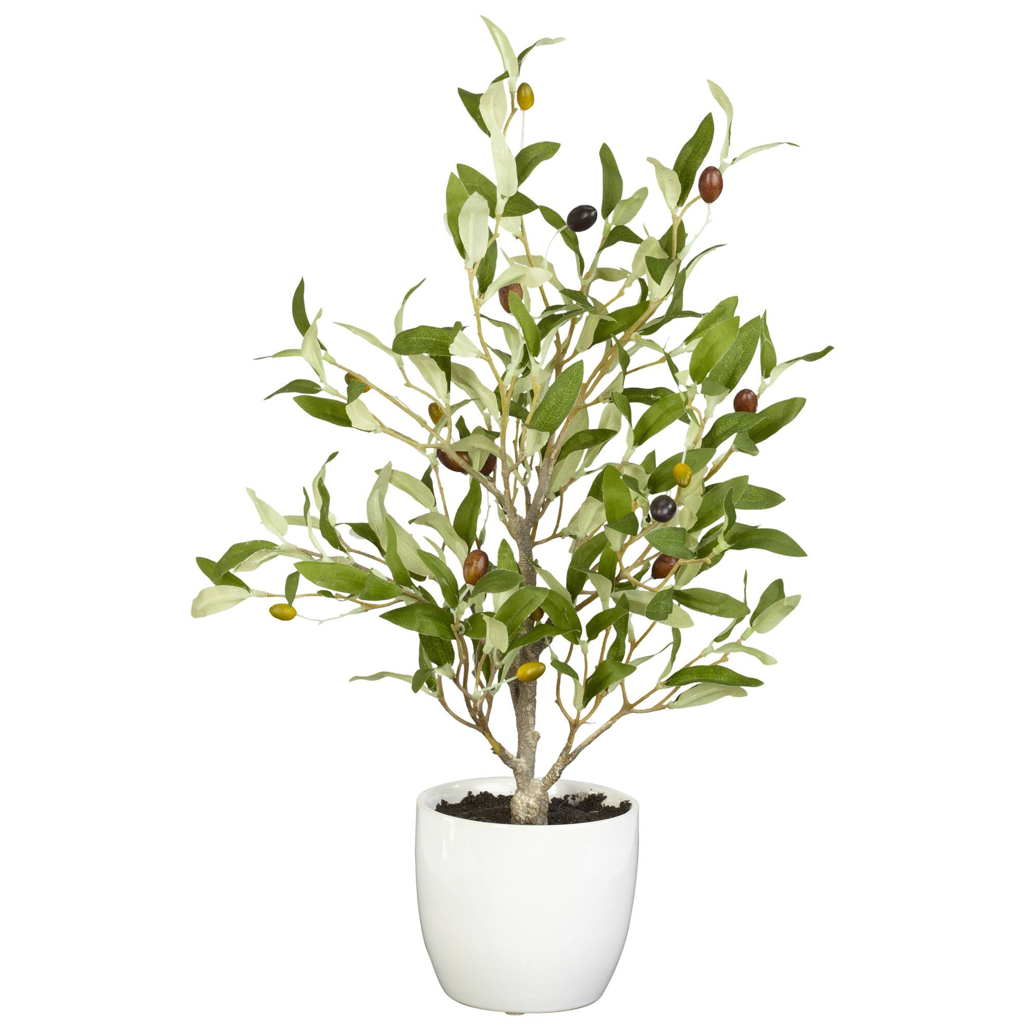 18" Silk Olive Tree with Vase, 2ct.